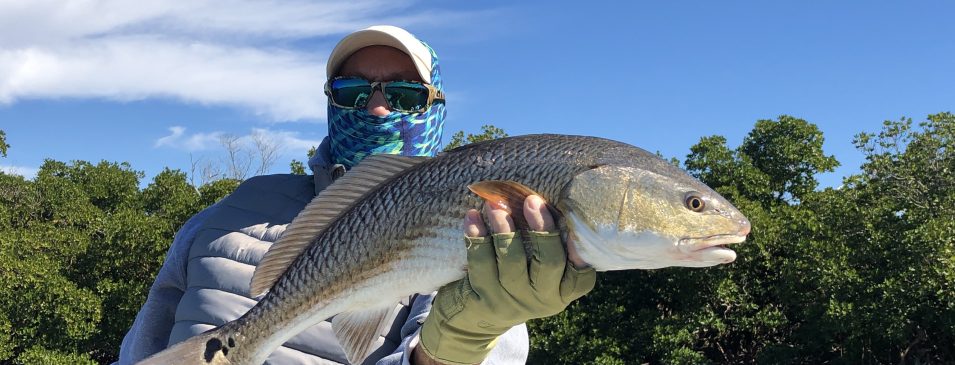 Captain's Journal - Naples Fishing Guide